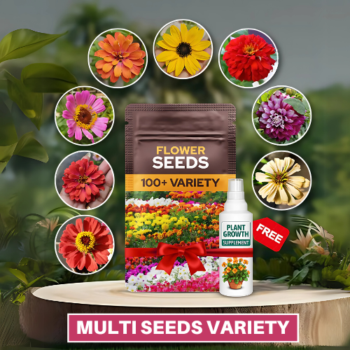 Premium Flower Seeds Pack with FREE Supplement (Pack of 100 Seeds)