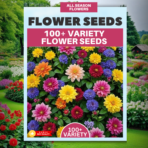 Premium Flower Seeds Pack with FREE Supplement (Pack of 100 Seeds)